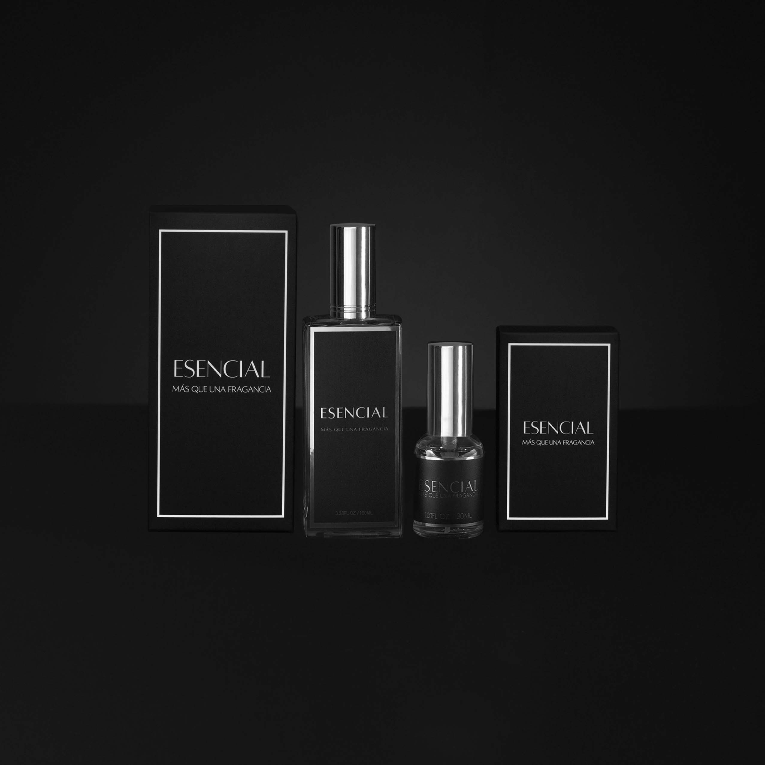 H041 Inspired by: Essence pour Homme - Loewe